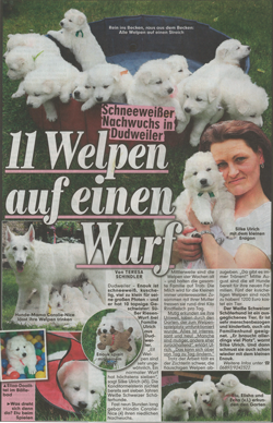 Bildzeitungsbericht vom 21.07.2012 Bildzeitungsausschnitt